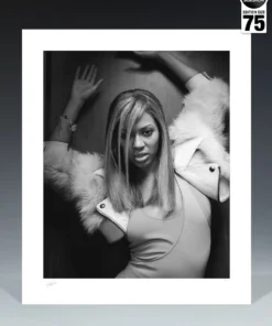 Art Work Murals & Prints Beyoncé Art Print By Sideshow Collectibles By Renowned Photographer Patrick Hoelck.
