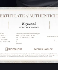 Buy 💯 Art Work Murals & Prints Beyoncé Art Print By Sideshow Collectibles By Renowned Photographer Patrick Hoelck. 🎁 12 Art Work Murals & Prints Beyoncé Art Print By Sideshow Collectibles By Renowned Photographer Patrick Hoelck.