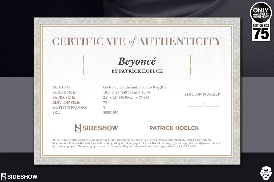 Buy 💯 Art Work Murals & Prints Beyoncé Art Print By Sideshow Collectibles By Renowned Photographer Patrick Hoelck. 🎁 6 Art Work Murals & Prints Beyoncé Art Print By Sideshow Collectibles By Renowned Photographer Patrick Hoelck.